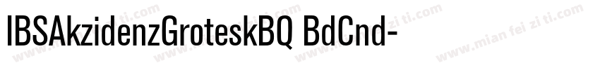 IBSAkzidenzGroteskBQ BdCnd字体转换